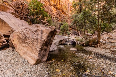 Téléchargez les photos : Vue du canyon Wadi Lajab, Arabie Saoudite - en image libre de droit