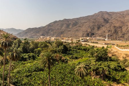 Téléchargez les photos : Paysage de ton village d'Ain (Dhi Ayn), Arabie Saoudite - en image libre de droit
