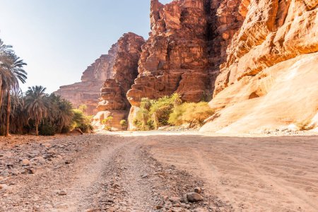 Vista del cañón de Wadi Disah, Arabia Saudita