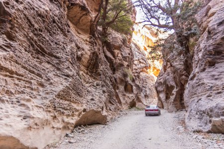 Chemin dans le canyon de Wadi Lajab, Arabie Saoudite