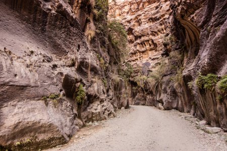 Chemin dans le canyon de Wadi Lajab, Arabie Saoudite