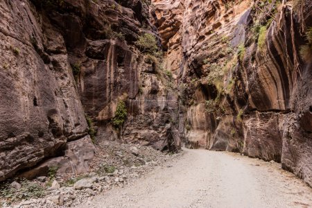 Pfad im Wadi Lajab Canyon, Saudi Arabien