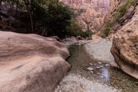 Foto de Vista del cañón de Wadi Lajab, Arabia Saudita - Imagen libre de derechos