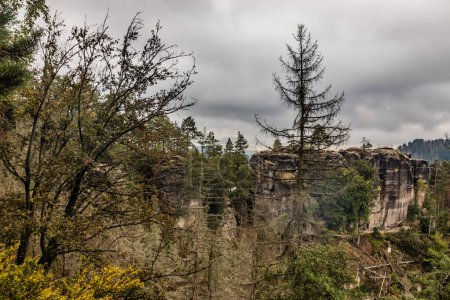 Téléchargez les photos : Ruines du château rocheux de Saunstejn dans le parc national de la Suisse tchèque, République tchèque - en image libre de droit