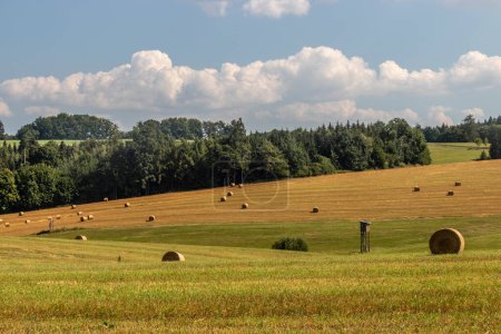 Foto de Paisaje rural cerca de Letohrad, República Checa - Imagen libre de derechos