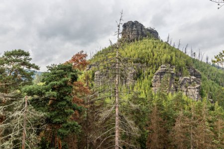 Havrani skala Rock im Nationalpark Böhmische Schweiz, Tschechien
