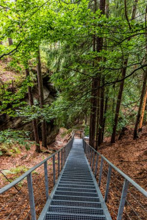 Foto de Escaleras a la ruina del castillo de Falkenstejn en el Parque Nacional de la Suiza Checa, República Checa - Imagen libre de derechos