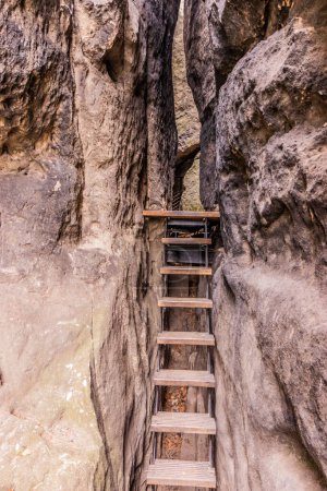 Téléchargez les photos : Escaliers menant aux ruines du château rocheux de Saunstejn dans le parc national de la Suisse tchèque, République tchèque - en image libre de droit
