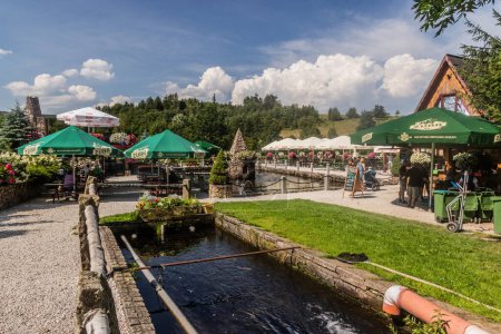 Téléchargez les photos : KAMIENCZYK, POLOGNE - 18 AOÛT 2022 : Vue d'une écloserie et d'un restaurant dans le village de Kamienczyk, Pologne - en image libre de droit