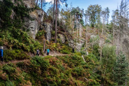Foto de CESKE SVYCARSKO, REPÚBLICA CHECA - 10 DE SEPTIEMBRE DE 2022: Los turistas caminan por un sendero en el Parque Nacional de la Suiza Checa, República Checa - Imagen libre de derechos