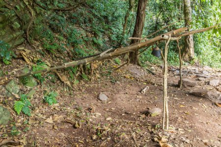 Téléchargez les photos : Abri simple en bambou dans la forêt de Nam Ha National Protected Area, Laos - en image libre de droit
