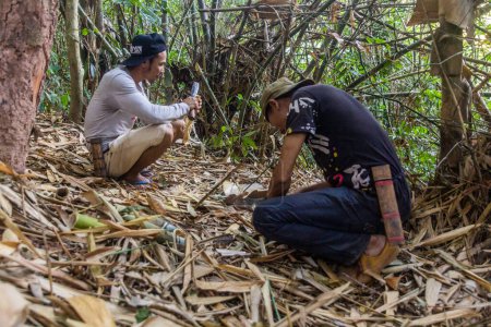 Téléchargez les photos : NAM HA, LAOS - NOVEMBER 15, 2019: Local guides collecting plants in the forest of Nam Ha National Protected Area, Laos - en image libre de droit