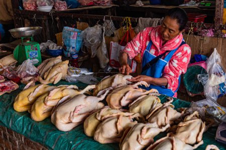 Photo for LUANG NAMTHA, LAOS - NOVEMBER 15, 2019: Chicken for sale at the market in Luang Namtha town, Laos - Royalty Free Image