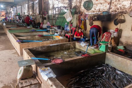 Foto de LUANG NAMTHA, LAOS - 15 DE NOVIEMBRE DE 2019: Sección de pescado del mercado en la ciudad de Luang Namtha, Laos - Imagen libre de derechos
