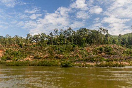 Foto de Los árboles se retiran debido al aumento de los niveles del río Nam Ou durante el llenado de la presa Nam Ou 3, Laos - Imagen libre de derechos