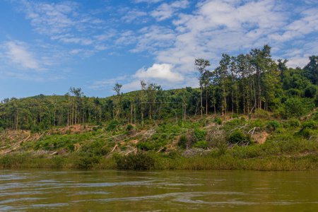 Photo for Trees are removed due to increasing levels of Nam Ou river during Nam Ou 3 dam filling, Laos - Royalty Free Image