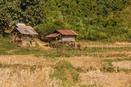 Téléchargez les photos : Houses near Donkhoun (Done Khoun) village near Nong Khiaw, Laos - en image libre de droit