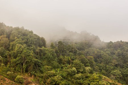 Misty paisaje matutino cerca de Phongsali, Laos