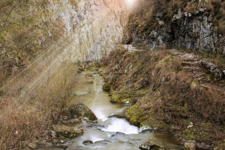 Téléchargez les photos : Rivière coulant dans un ruisseau calcaire (Cheile Turzii, Transylvanie) - en image libre de droit