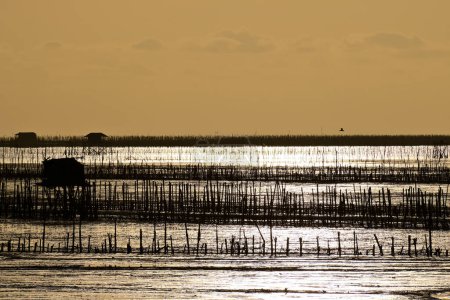 Téléchargez les photos : Contexte Silhouette Soirée Coucher de soleil sur la mer boueuse en Thaïlande - en image libre de droit