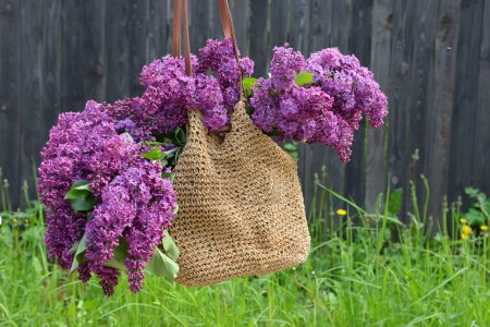 Foto de Un ramo de lilas en una bolsa de mujer - Imagen libre de derechos