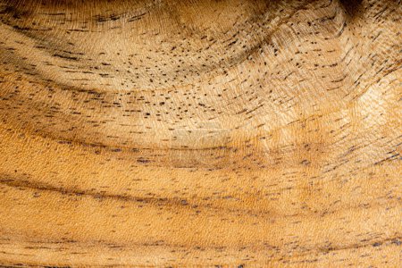 Photo for Wood Texture Surface of Teak Wood Nutwood Background for design and decoration - Royalty Free Image