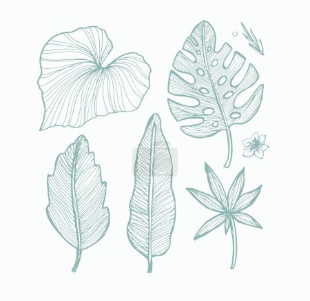 Illustration for Trendy hand drawn doodle tropical leaf leaves pattern background. - Royalty Free Image