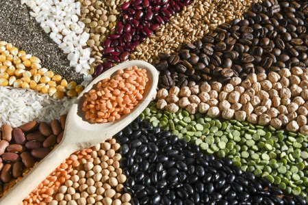 Photo for Wooden spoon with raw red lentils on various seeds - Royalty Free Image