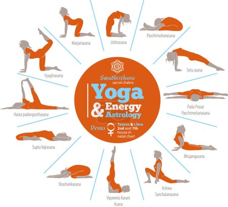 Illustration for Vector illustration of yoga positions that activate the sacral chakra, and in energy astrology the planet Venus (Taurus & Libra). - Royalty Free Image