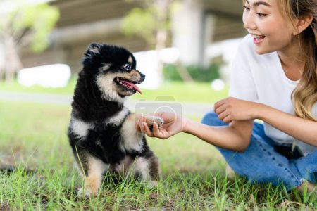Foto de Happy young asian woman playing and sitting on grass in the park with her dog. Pet lover concept - Imagen libre de derechos