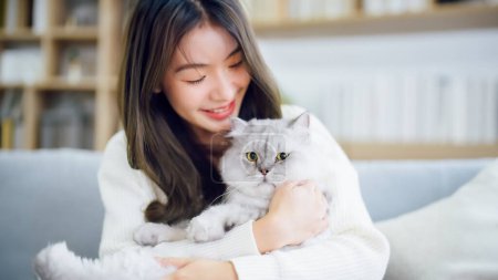 Photo for Portrait of young Asian woman holding cute cat. Female hugging her cute long hair kitty. Adorable pet concept - Royalty Free Image