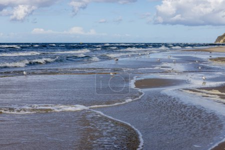 Photo for Beautiful seaside landscape, an empty beach, the foamy water of the Baltic Sea, gulls walking on the sand, Wyspa Wolin, Miedzyzdroje, Poland - Royalty Free Image