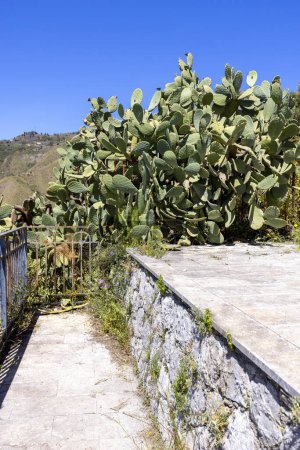Foto de Sendero histórico de los sarracenos (Sentiero dei Saraceni) en las montañas entre Taormina y Castelmola, a lo largo de la ladera de Monte Tauro, Sicilia; Italia - Imagen libre de derechos
