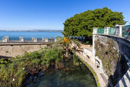 Photo for Syracuse, Sicily, Italy - April 29, 2023: Fountain of Arethusa on Ortygia island, a natural spring of freshwater in the place where the nymph Arethusa hid according to Greek mythology - Royalty Free Image