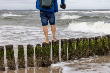 Unrecognizable man walking barefoot on piles of wooden breakwater with green algae in foaming water of Baltic Sea, Miedzyzdroje, Wolin Island, Poland