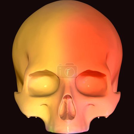Téléchargez les photos : Squelette masculin poumons, crâne, foie et anatomie de la vésicule biliaire. 3d rendu - en image libre de droit