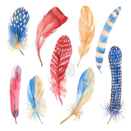 Rote, blaue und orangefarbene Vogelfedern Aquarellset vorhanden. Handgezeichnete Illustration auf weißem Hintergrund.