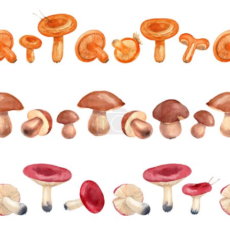 Orange chanterelle, Porcini and Emetic Russula mushrooms. Watercolor seamless border set. Hand-drawn art for greeting cards, invitations and interior decoration. Vintage pattern on white background.