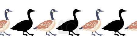 Canada goose. Seamless borders. Pattern of vintage style colored illustration and black silhouettes of  walking birds. Vector illustration of geese on a white background.