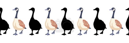 Ganso de Canadá. Fronteras sin fisuras. Patrón de estilo vintage ilustración en color y siluetas negras de aves caminando hacia adelante. Ilustración vectorial de gansos sobre fondo blanco.