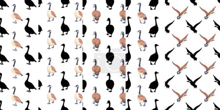Canada geese. Black silhouettes and color vintage style birds. Set of seamless patterns. Hand-drawn graphic design. Vector illustration on white background.
