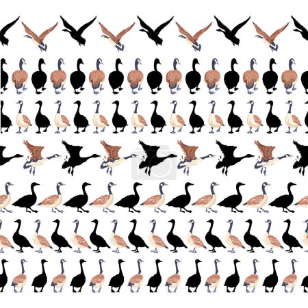 Canadian geese. Seamless border. Black silhouettes. Vintage set of birds. Vector illustration on a white background.