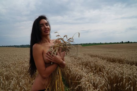 ein Mädchen mit langen brünetten Haaren und Dessous im Feld des goldenen Weizens.