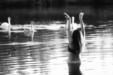 Photo for Black and white photo of a girl with swans on a lake in the park. - Royalty Free Image