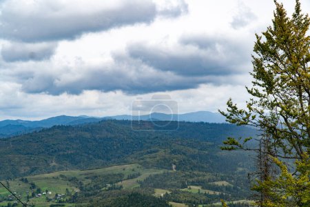 Photo for Magnificent panoramic view the coniferous forest on the mighty Carpathians Mountains and beautiful blue sky background. Beauty of wild virgin Ukrainian nature. Peacefulness - Royalty Free Image