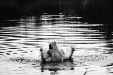 Téléchargez les photos : Photo en noir et blanc d'une fille nue sur un lac dans le parc. cheveux et vêtements mouillés. - en image libre de droit