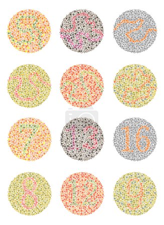 Ilustración de Ishihara Prueba daltonismo, ceguera del color enfermedad percepción prueba vector illustartion - Imagen libre de derechos