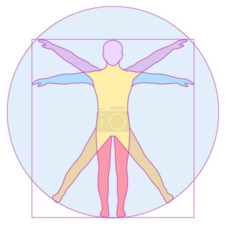 Téléchargez les illustrations : Da Vinci Vetruvian Man concept. icône vectorielle corps humain - en licence libre de droit