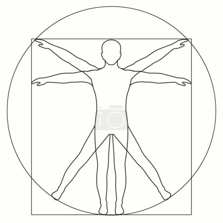 Téléchargez les illustrations : Da Vinci Vetruvian Man concept. icône vectorielle corps humain - en licence libre de droit