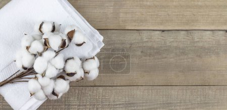 Photo for Cotton. A white towel and cotton lie on a wooden background. Copy space. Banner - Royalty Free Image